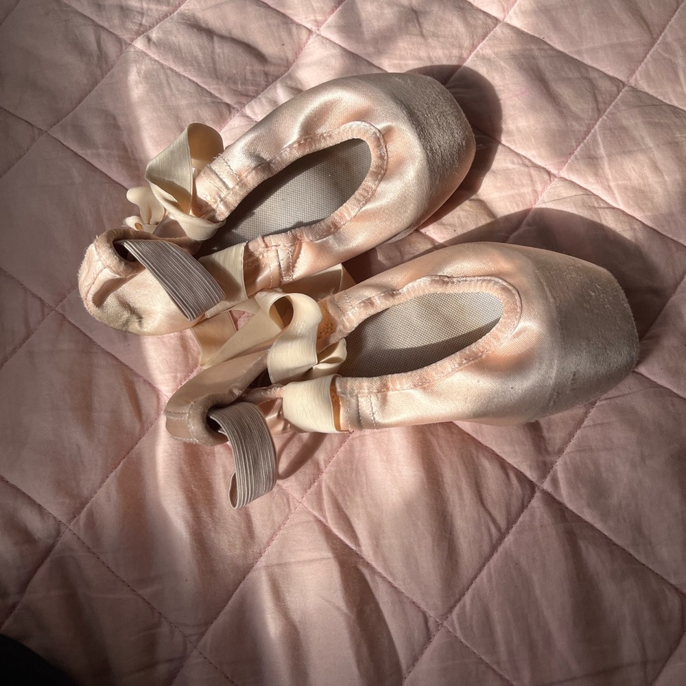 Gaynor Minden Ballet Pointe Shoes